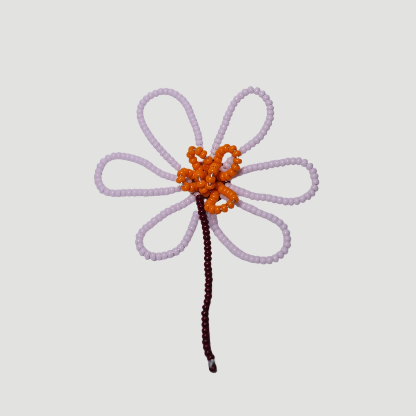 The Apricot Haze