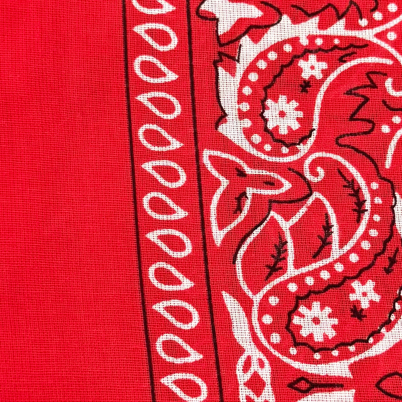 Sunloop Dusk Parade Necklace