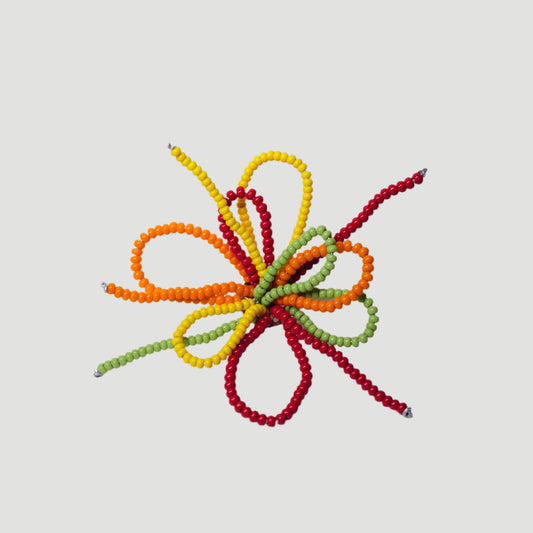 Carnival Bloom