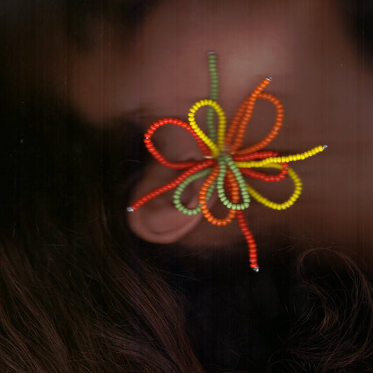 Carnival Bloom